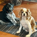 View Gallery Image #10