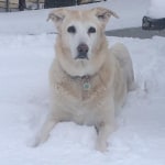 View Gallery Image #1