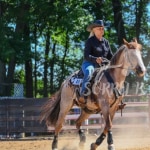 View Gallery Image #4