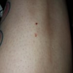 View Gallery Image #4