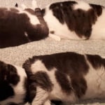 View Gallery Image #2