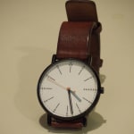 Skagen skw6373 sales