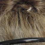 View Gallery Image #8