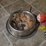 View Gallery Image #13