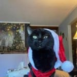 View Gallery Image #2