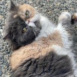 View Gallery Image #3