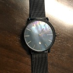Skagen hagen mother of pearl sales