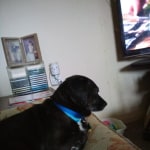 View Gallery Image #5