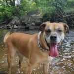 View Gallery Image #15