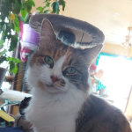 View Gallery Image #11