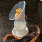 View Gallery Image #13