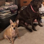 View Gallery Image #3