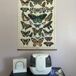 Butterfly tapestry world hot sale market