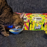 View Gallery Image #1