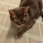 View Gallery Image #3