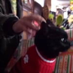 View Gallery Image #13