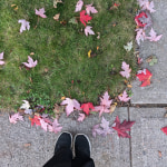 View Gallery Image #15