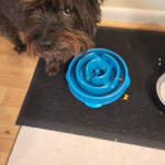 View Gallery Image #15