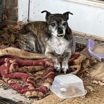 View Gallery Image #4