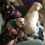 View Gallery Image #5