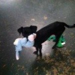 View Gallery Image #15