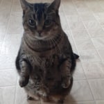 View Gallery Image #2