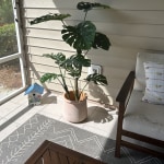 Large Faux Monstera Plant