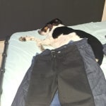 View Gallery Image #10