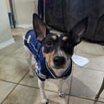 View Gallery Image #1