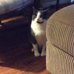 View Gallery Image #9