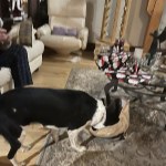 View Gallery Image #3