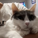 View Gallery Image #10