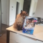 View Gallery Image #12