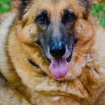 View Gallery Image #2