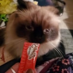 View Gallery Image #1