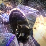 View Gallery Image #4