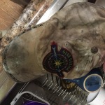 View Gallery Image #11