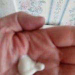 View Gallery Image #8