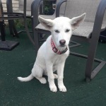 View Gallery Image #13