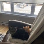 View Gallery Image #3