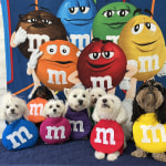 M&M's Character Blanket, Fun Colorful Throw Blanket Featuring Characters,  Comfy & Soft Travel Blanke…See more M&M's Character Blanket, Fun Colorful