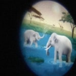 View Gallery Image #5