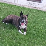 View Gallery Image #8