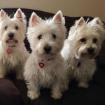 View Gallery Image #7