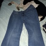 View Gallery Image #14