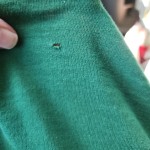 View Gallery Image #15