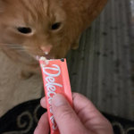 View Gallery Image #8