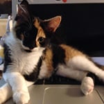 View Gallery Image #11