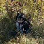 View Gallery Image #1