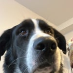 View Gallery Image #10